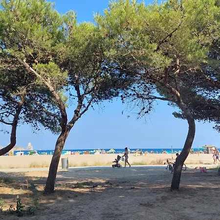 Appartement Primera Linea Con Vistas Al Mar Y Piscina L'Estartit
